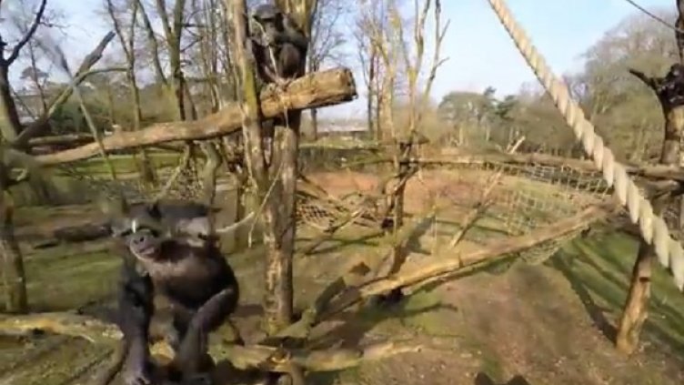 Снимка: YouTube