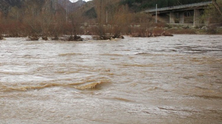 Снимка: Булфото, архив