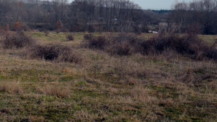 Архив: Булфото