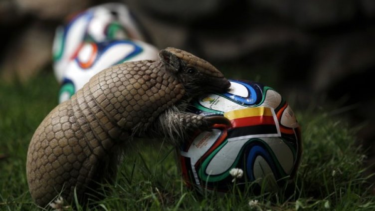 Снимка: Reuters