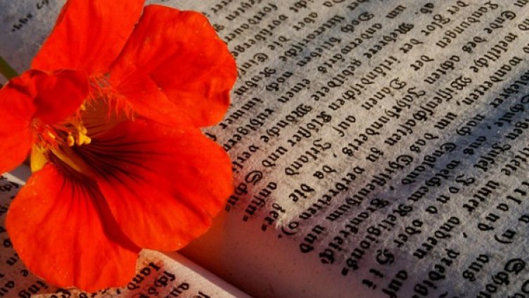 Снимка: freeimages.com