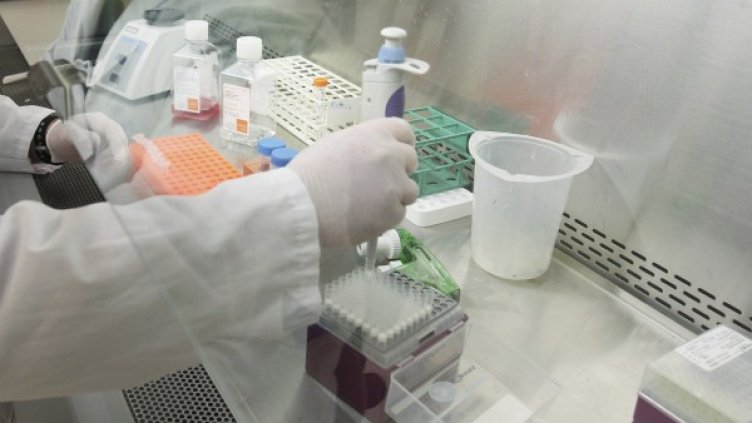 Снимка: Reuters, архив