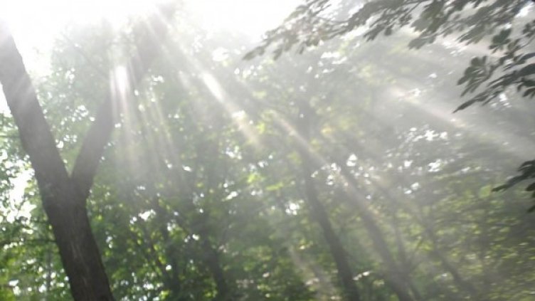 Снимка: архив Булфото