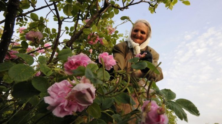 Снимка: архив Булфото