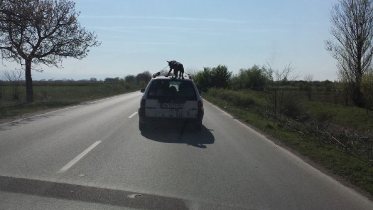 Снимка: Dnes.bg