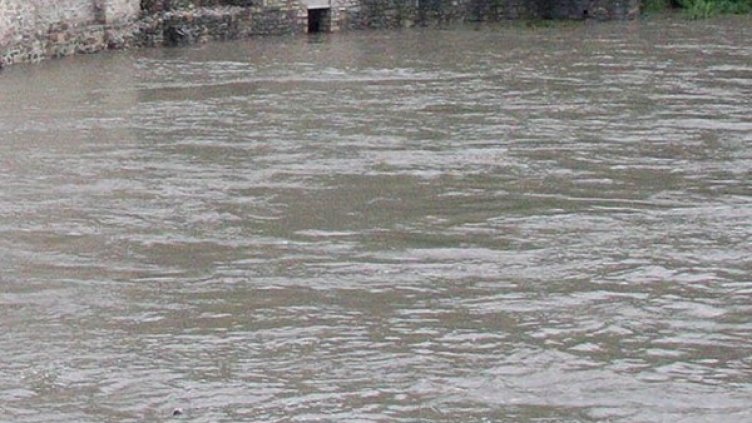 Снимка: архив, Булфото