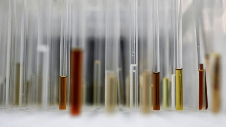 Снимка: Reuters, архив