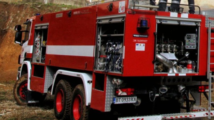 Снимка: Булфото, архив