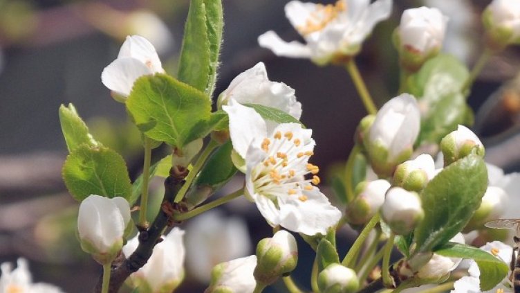 Снимка: БТА, архив
