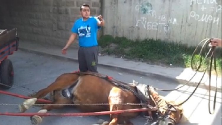 Снимка: Facebook