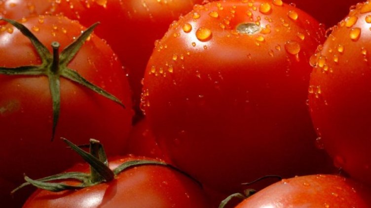 Снимка: архив, Булфото