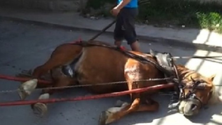 Снимка: Facebook