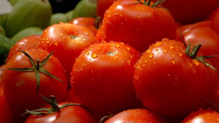 Снимка: Булфото, ахрив