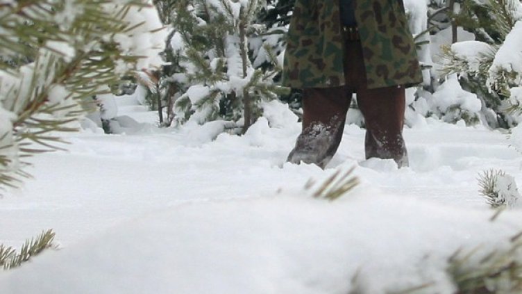 Снимка: Булфото, архив