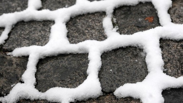 Снимка: архив Булфото