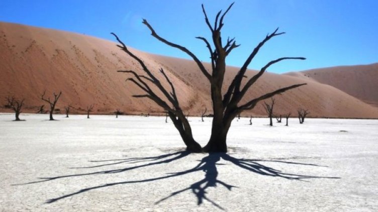 Снимка: Alexandre Fran&#231;ois и Philom&#232;ne Martinelli