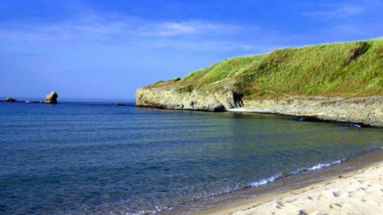 Снимка:  Facebook "Да запазим Корал"