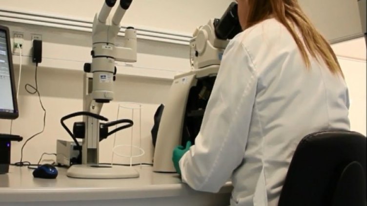 Снимка: bgonair.bg