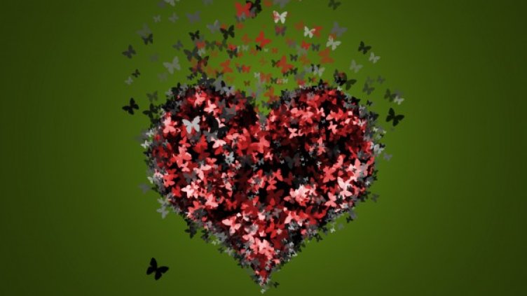 Снимка: freeimages.com