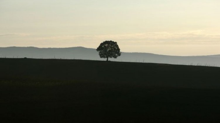 Според сега действащия закон в България нямат право да притежават земеделска земя компании от офшорни зони и дружества, регистрирани извън Европейския съюз. Снимка: архив, Reuters