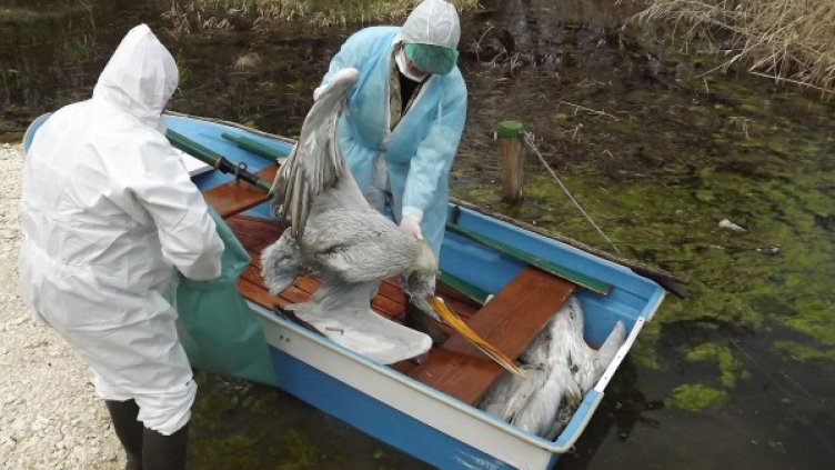 Снимка: Булфото