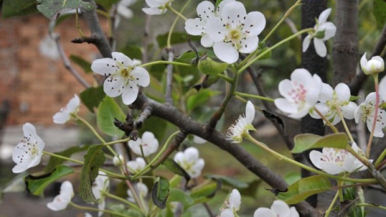 Снимка: архив, Булфото