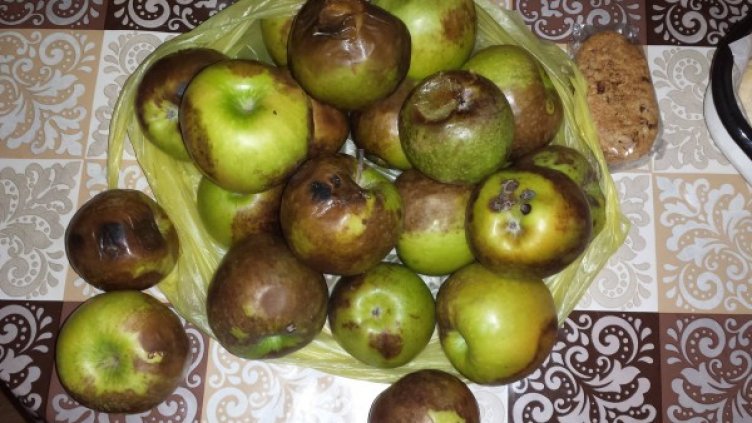 Снимка: Facebook