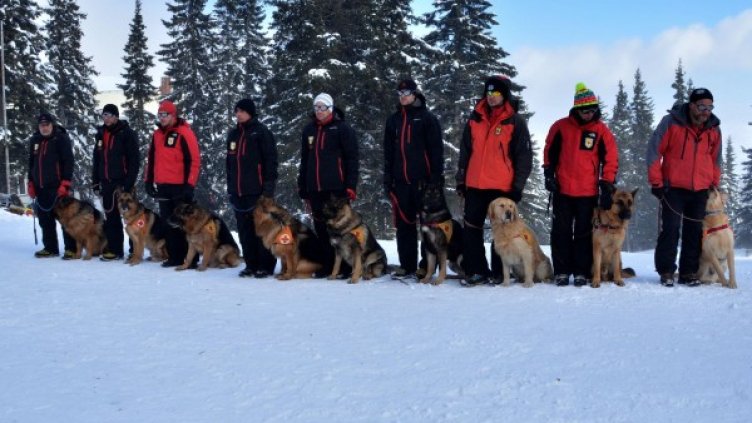 Снимка: Булфото, архив