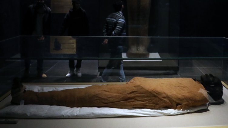 Снимка: архив, БГНЕС