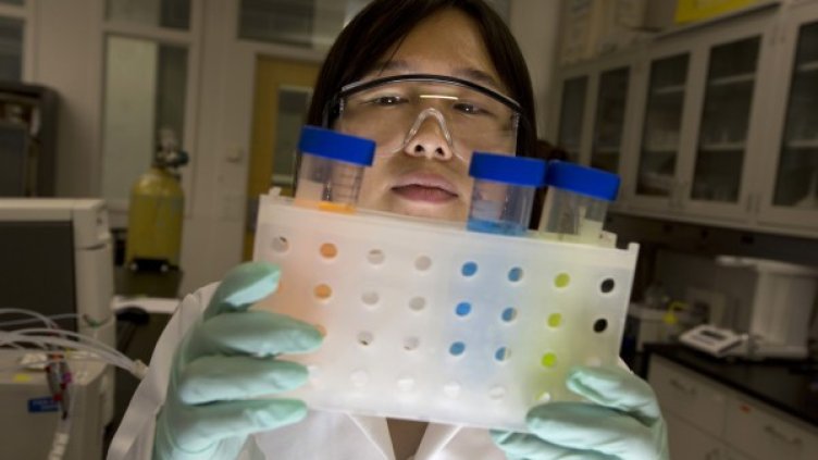 Снимка: Reuters, архив