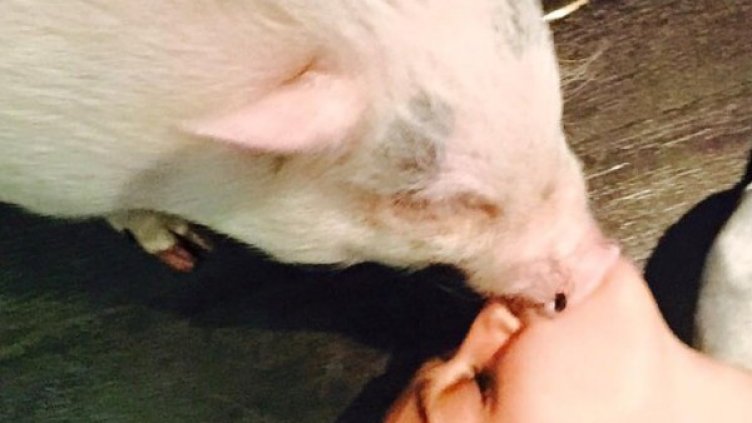 Снимка: Facebook