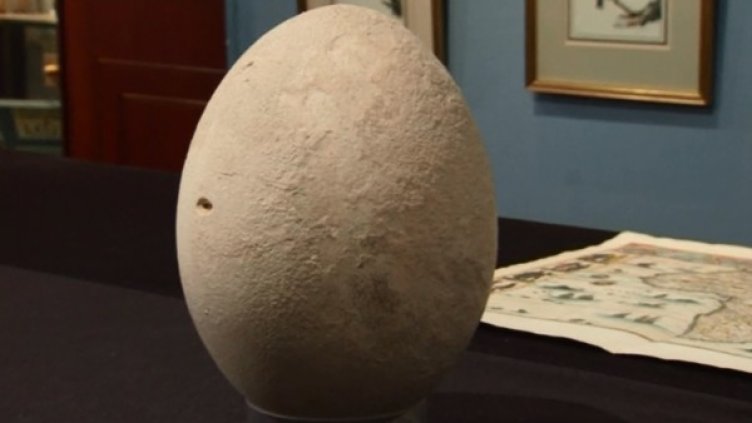 Снимка: bgonair.bg