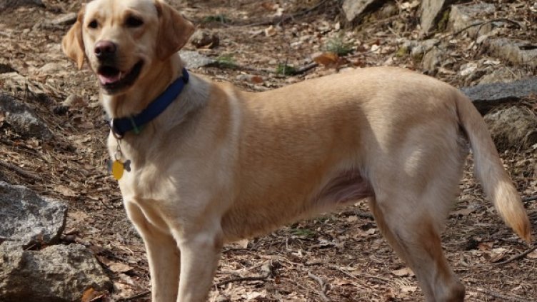 Снимка: Снежана Стойчева
Снимка: Снежана Стойчева