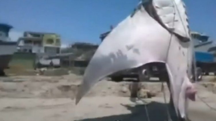 Снимка: bgonair.bg