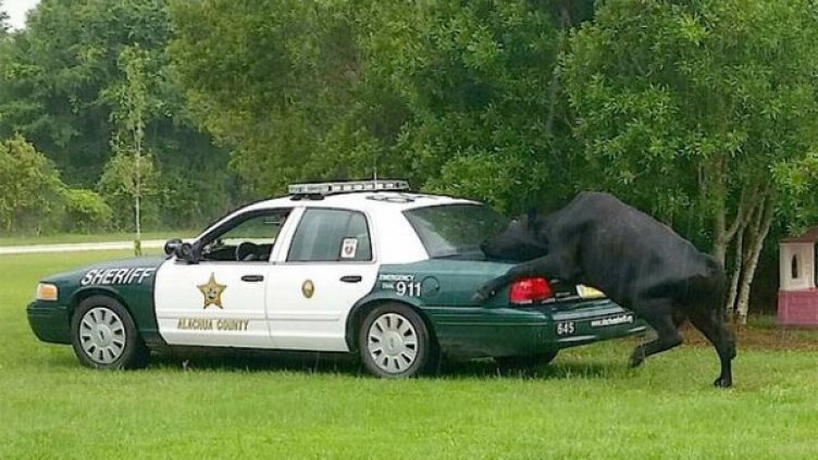 Снимка: Twitter