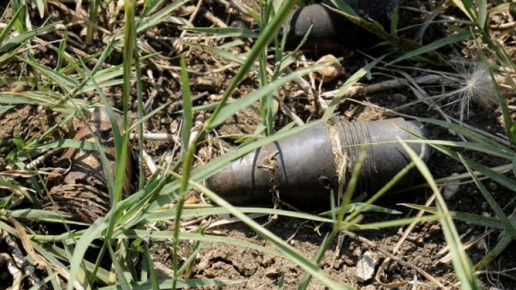 Снимка: Булфото, архив