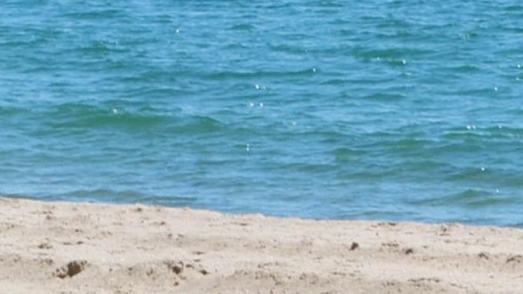 Снимка: архив, Булфото