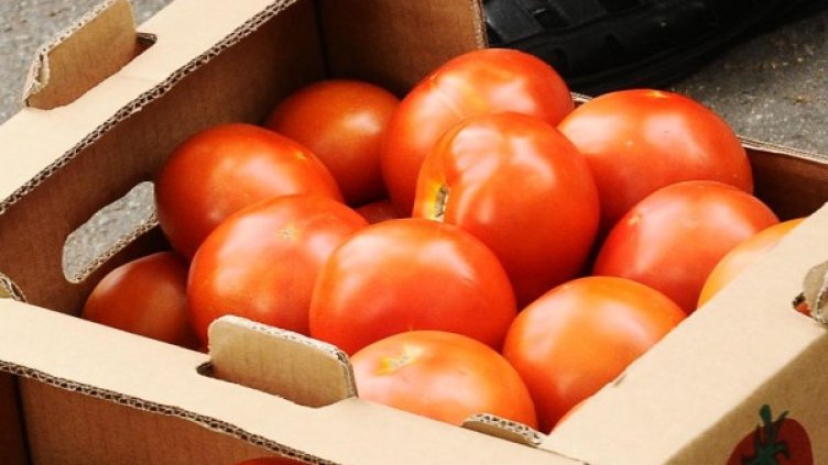 Снимка: Булфото, ахрив