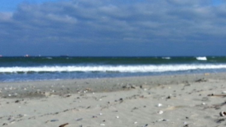 Снимка: Архив Булфото