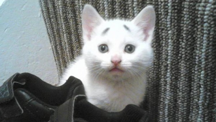 Снимка: Facebook