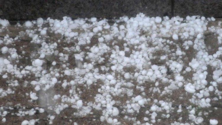 Снимка: Булфото, архив