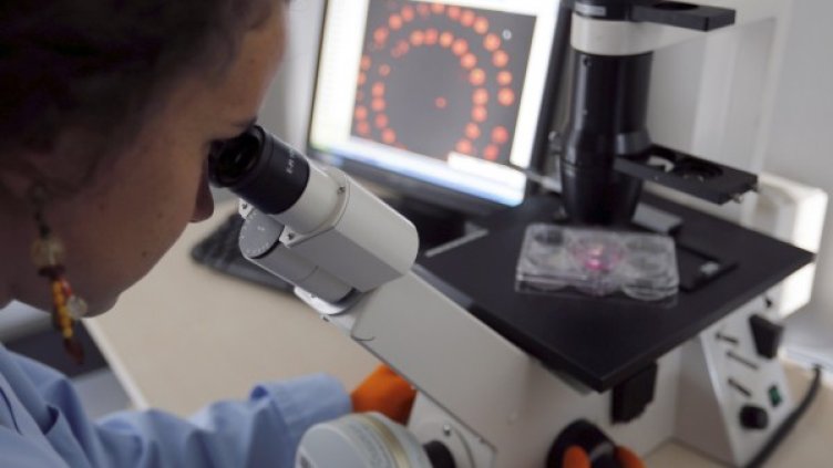 Снимка: Reuters, архив