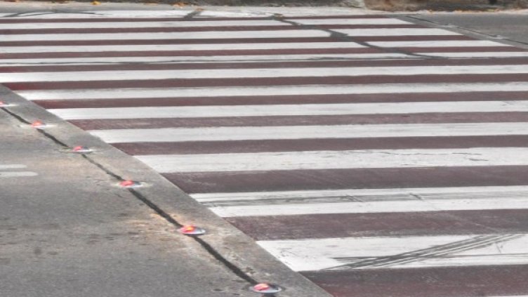 Снимка: Булфото, ахрив