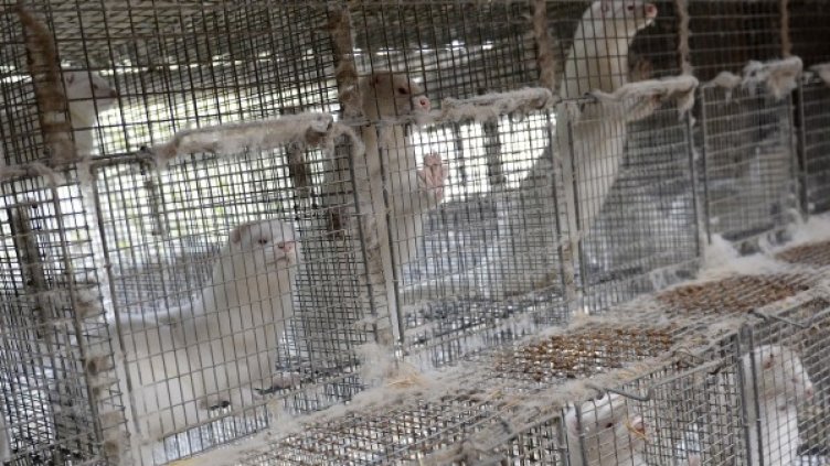 Снимка:  Reuters, архив