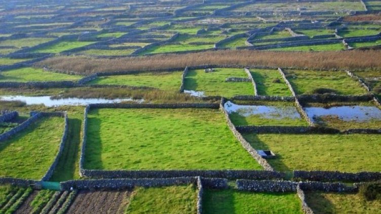 Снимка: aerarannislands.ie