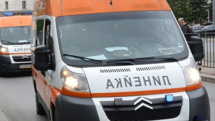 Снимка: Булфото, архив