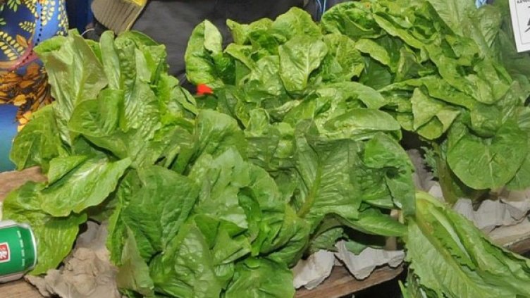 Снимка: Булфото, ахрив