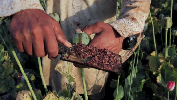 Снимка: архив, Ройтерс