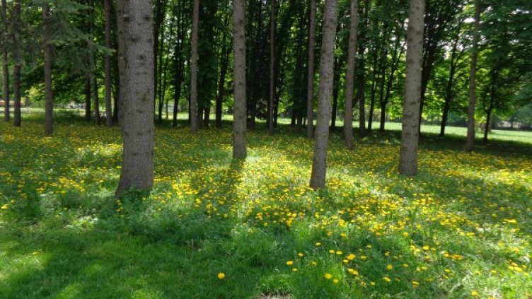 Снимка: Dnes.bg