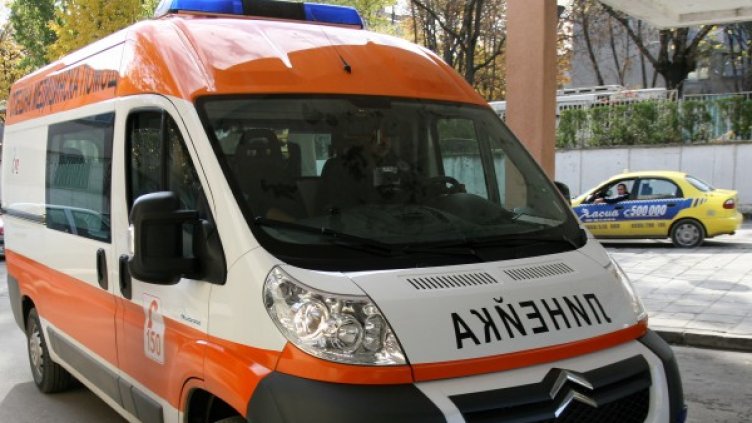 Снимка: Impact Press Group